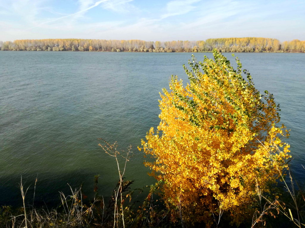 Pogled na Dunav 
